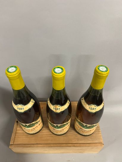 3 bottles PULIGNY-MONTRACHET 