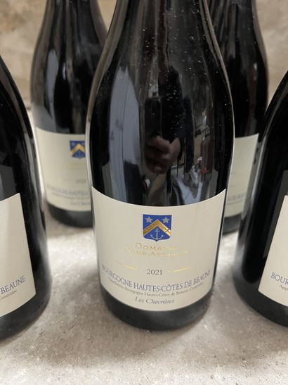 6 bottles HAUTES-COTES DE BEAUNE 