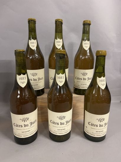 6 bottles COTES DU JURA Savagnin, M. Perron...