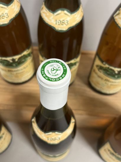 6 bottles SAINT-AUBIN 
