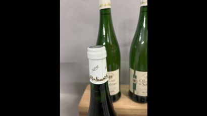 6 bottles GAILLAC O. de Sérac (white)