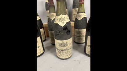 10 bottles CHATEAUNEUF-DU-PAPE 