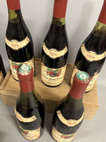 10 bottles COTE DE NUITS VILLAGES, Lippé-Régnier...