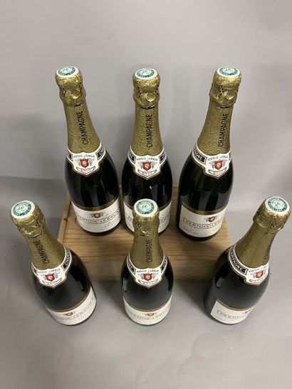 6 bottles CHAMPAGNE 