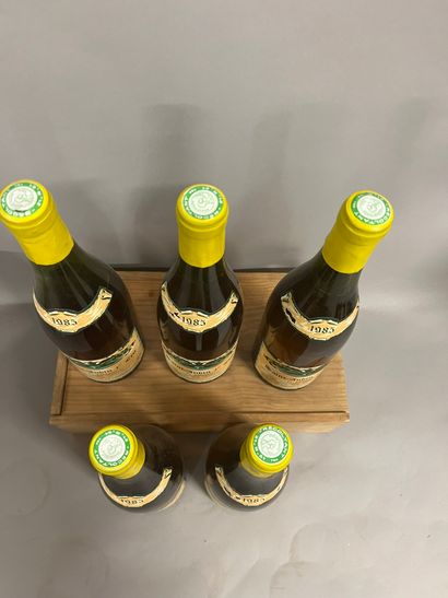5 bottles SAINT-AUBIN 