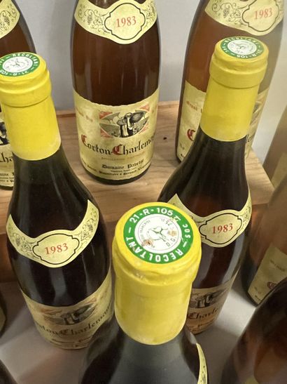 12 bottles CORTON CHARLEMAGNE, Pavelot 1983...