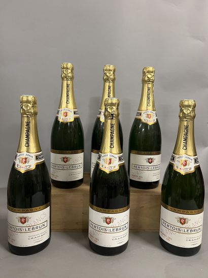 6 bottles CHAMPAGNE 