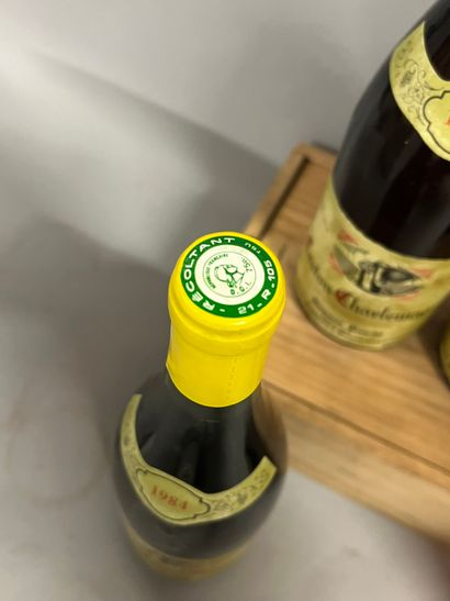 5 bottles CORTON CHARLEMAGNE, Pavelot 19...