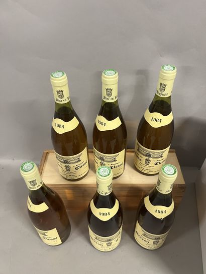 6 bottles MACON CLESSE René Michel 1984 (1...