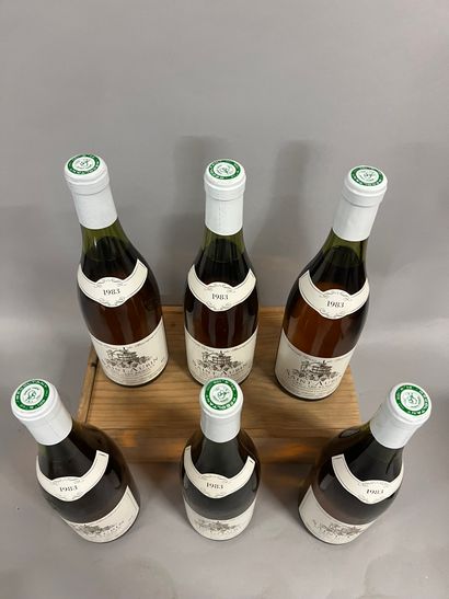 6 bottles SAINT-AUBIN 