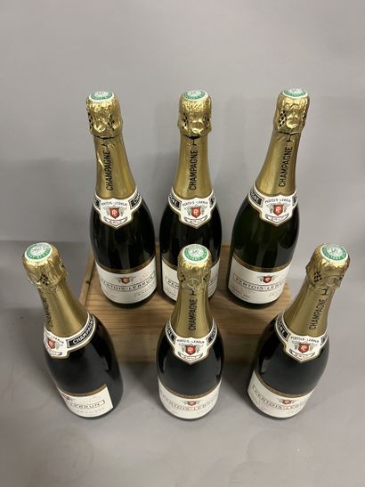 6 bottles CHAMPAGNE 