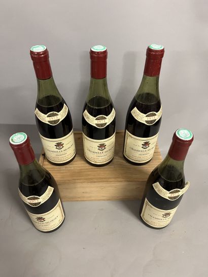 5 bottles CHAMBOLLE-MUSIGNY 