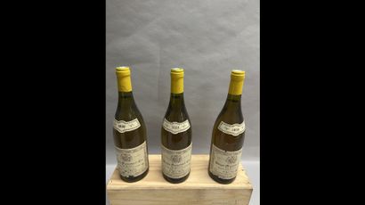 3 bottles PULIGNY-MONTRACHET 