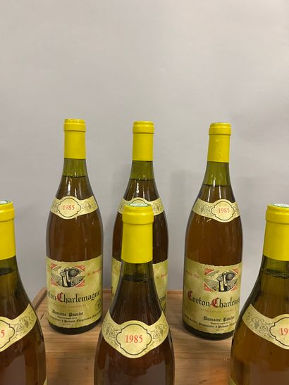 6 bottles CORTON CHARLEMAGNE, Pavelot 19...