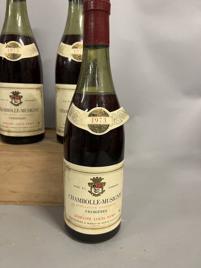 5 bottles CHAMBOLLE-MUSIGNY 