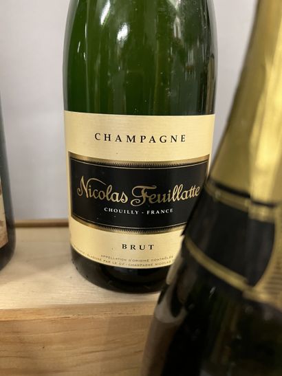 6 bottles CHAMPAGNE DIVERS (1 Bouble-Hadot...