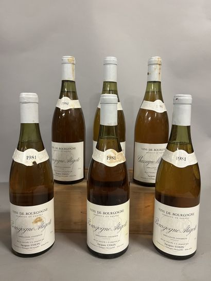 6 bottles BOURGOGNE aligoté, J. Colin 1981...