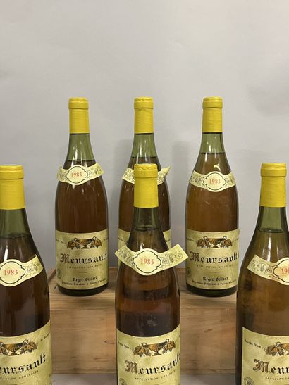 6 bottles MEURSAULT R. Billard 1983 (1 L...