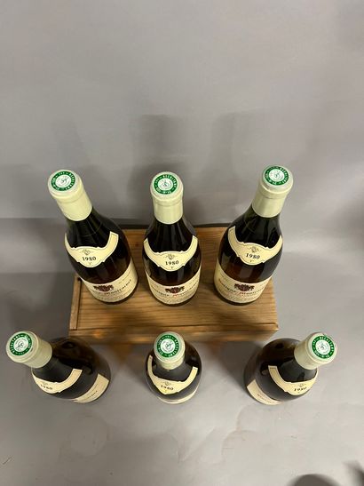 6 bouteilles PULIGNY-MONTRACHET 