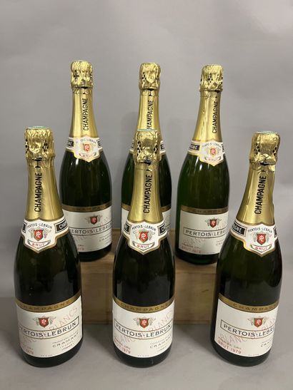 6 bottles CHAMPAGNE 