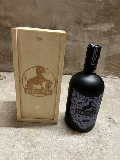 1 bottle GIN 
