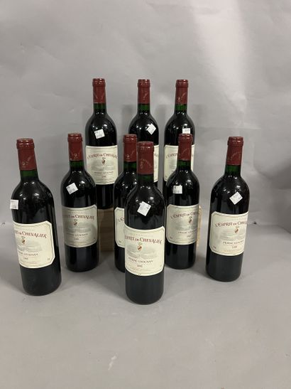 9 bottles L'ESPRIT DE CHEVALIER, Pessac-Léognan...