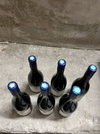 6 bottles HAUTES-COTES DE BEAUNE 