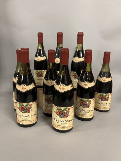 10 bottles COTE DE NUITS VILLAGES, Lippé-Régnier...