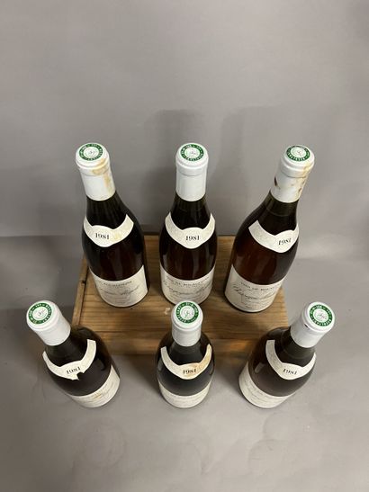 6 bottles BOURGOGNE aligoté, J. Colin 1981...