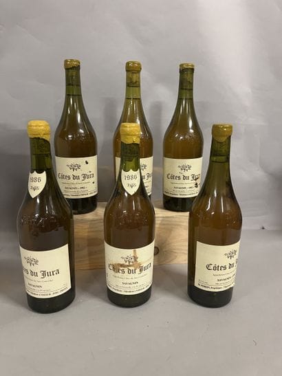 6 bottles COTES DU JURA Savagnin, M. Perron...