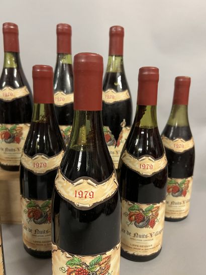 10 bottles COTE DE NUITS VILLAGES, Lippé-Régnier...