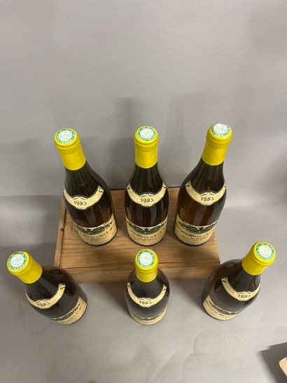 6 bottles PULIGNY-MONTRACHET 
