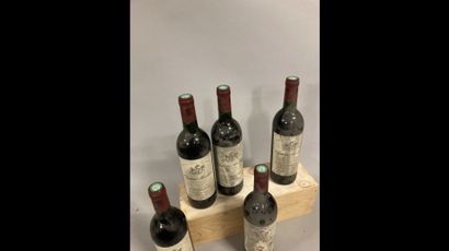 5 bottles Château MONTROSE, 2° cru Saint-Estèphe...
