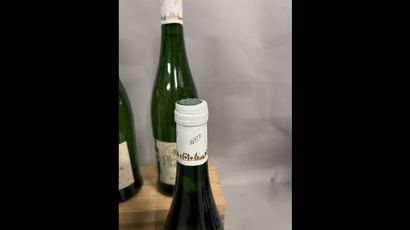 6 bottles GAILLAC O. de Sérac (white)