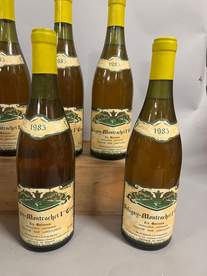 6 bottles PULIGNY-MONTRACHET 