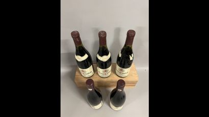 5 bouteilles GEVREY-CHAMBERTIN DIVERS (3...