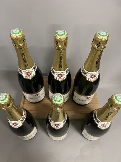 6 bottles CHAMPAGNE 