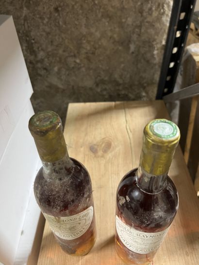 2 bottles Château RAYMOND-LAFON, Sauternes...