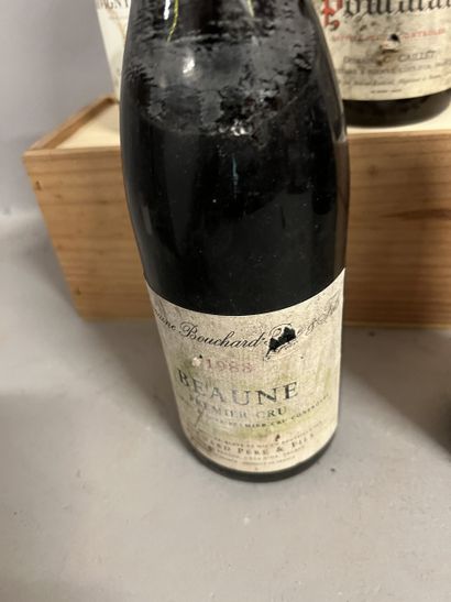 5 bouteilles BOURGOGNE DIVERS, (1 Bouchard...