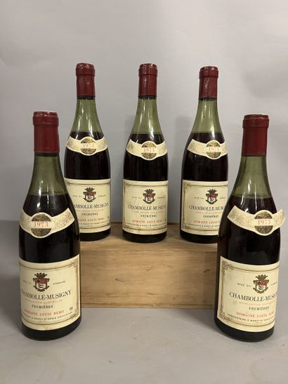 5 bottles CHAMBOLLE-MUSIGNY 