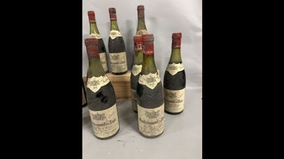 10 bottles CHATEAUNEUF-DU-PAPE 