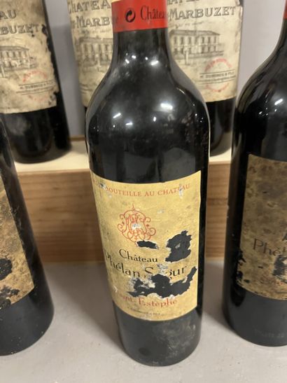 6 bottles SAINT-ESTEPHE DIVERS, (3 Ch. Haut-Marbuzet...