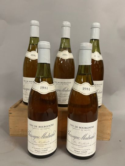 5 bottles CHASSAGNE-MONTRACHET 