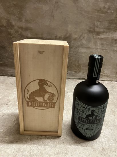1 bottle ABSINTHE 