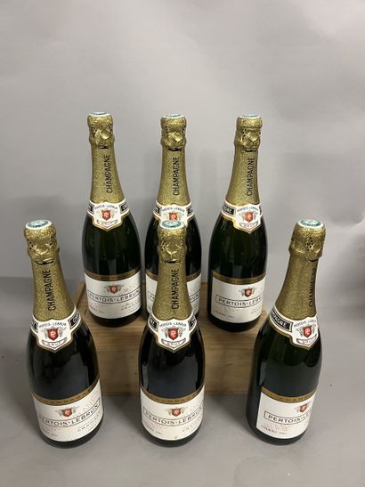 6 bottles CHAMPAGNE 