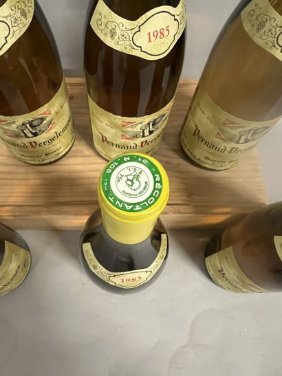 6 bottles PERNAND-VERGELESSES Pavelot 1985...