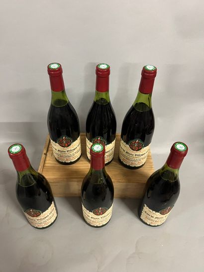 5 bottles COTE DE NUITS VILLAGES, H. Gilles...