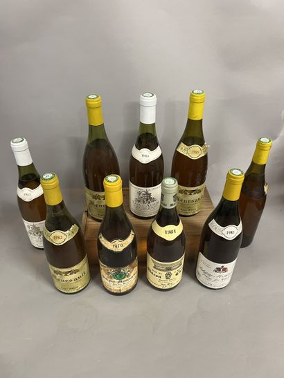 9 bottles BOURGOGNE DIVERS, (Macon-Clessé...