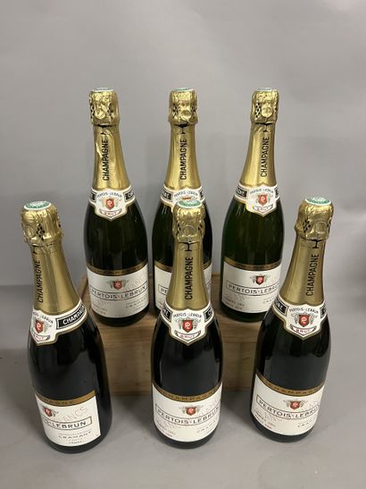 6 bottles CHAMPAGNE 