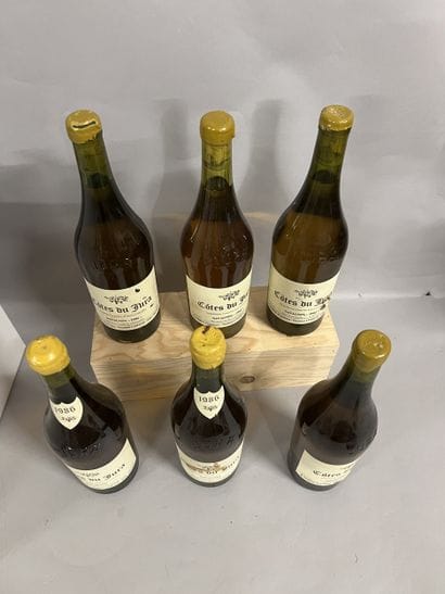 6 bottles COTES DU JURA Savagnin, M. Perron...